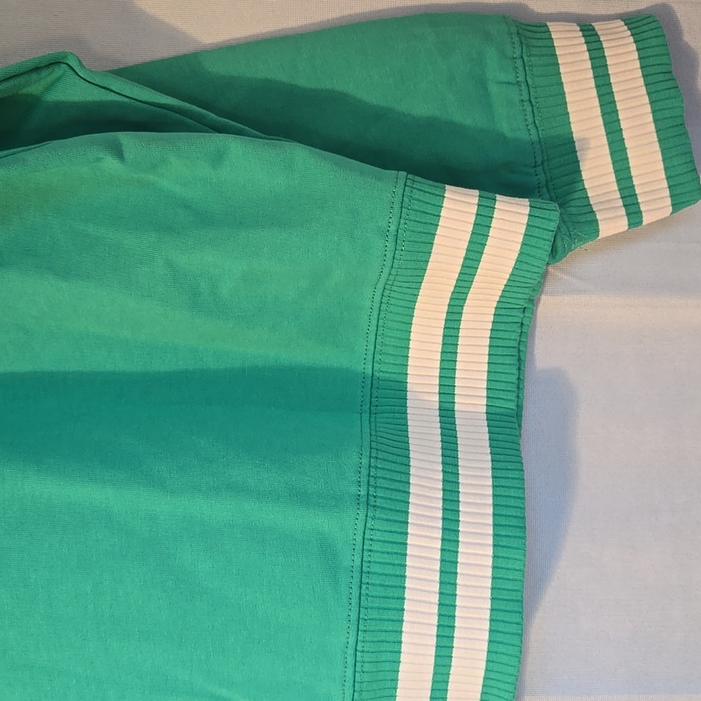 Walt Disney World Adult Green Zip Hoodie Sz XL NWT - Picture 4 of 8